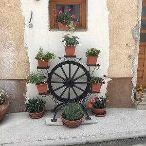 Meet your Posher, Judy